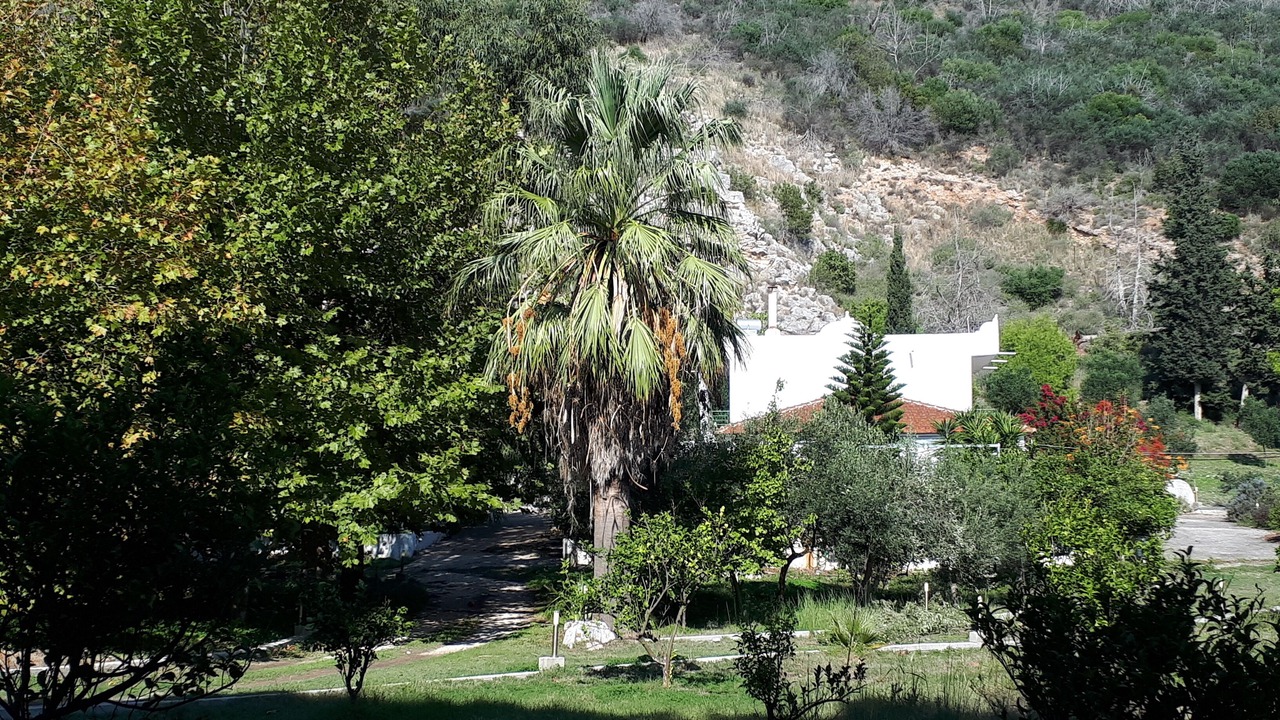 Photo of Outdoor in Kalogria