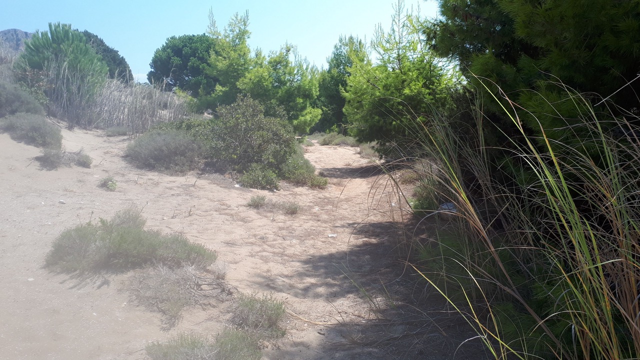 Photo of Outdoor in Kalogria