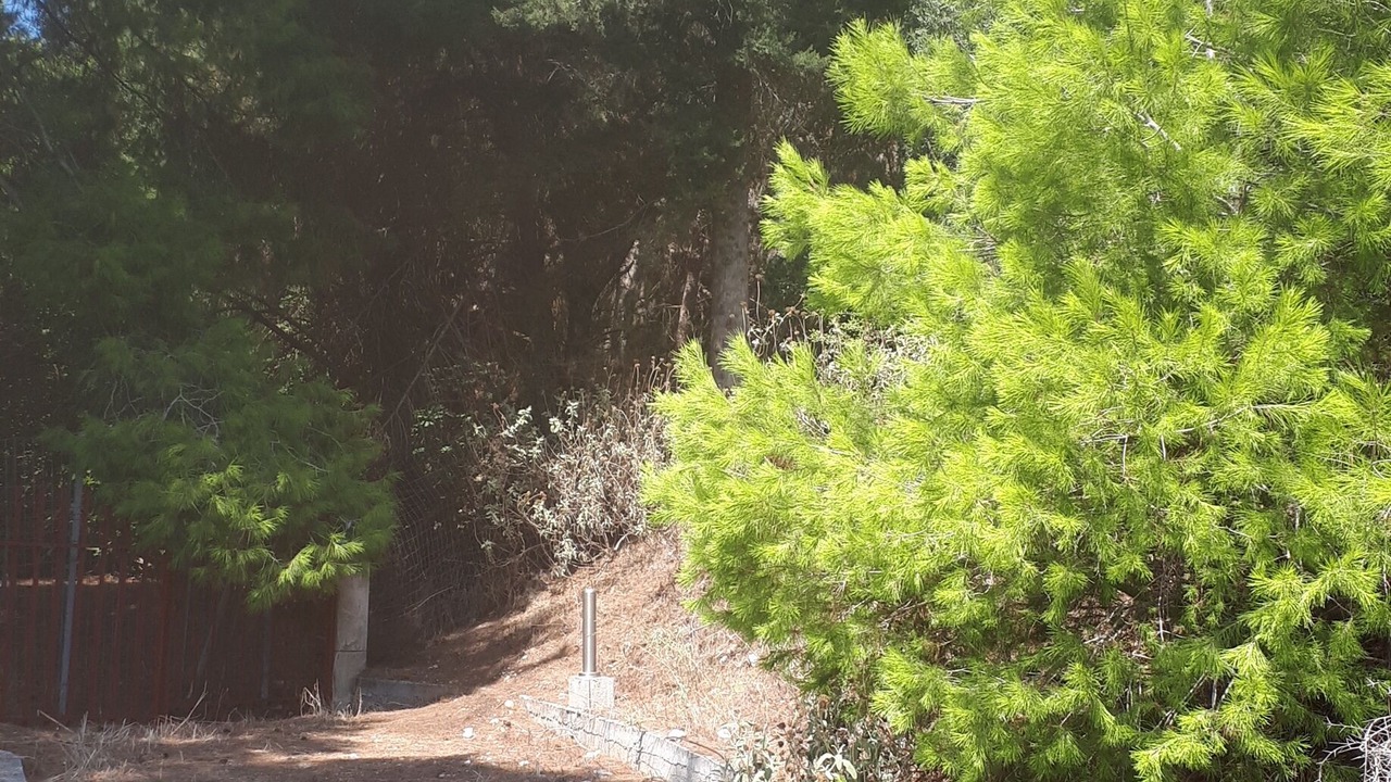 Photo of Outdoor in Kalogria