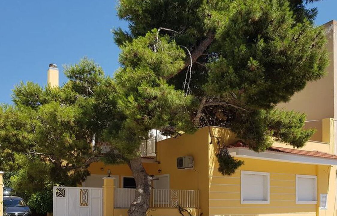 Photo of Outdoor in Palaia Fokaia