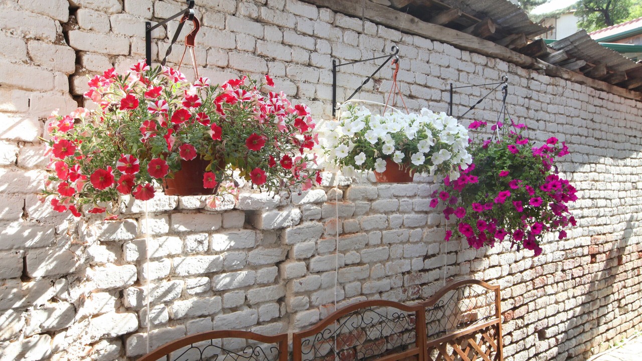 Photo of Outdoor in Kalopanayiotis