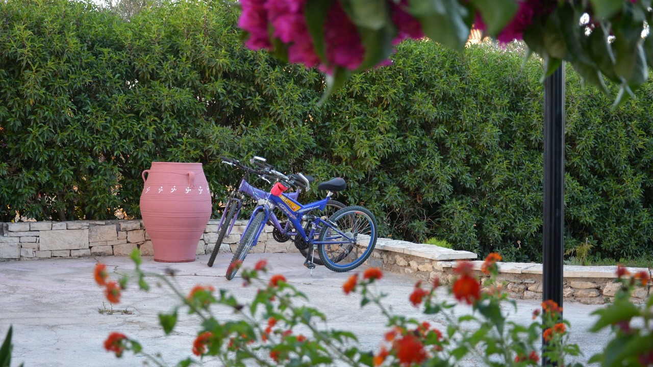 Photo of Outdoor in Stamnoi