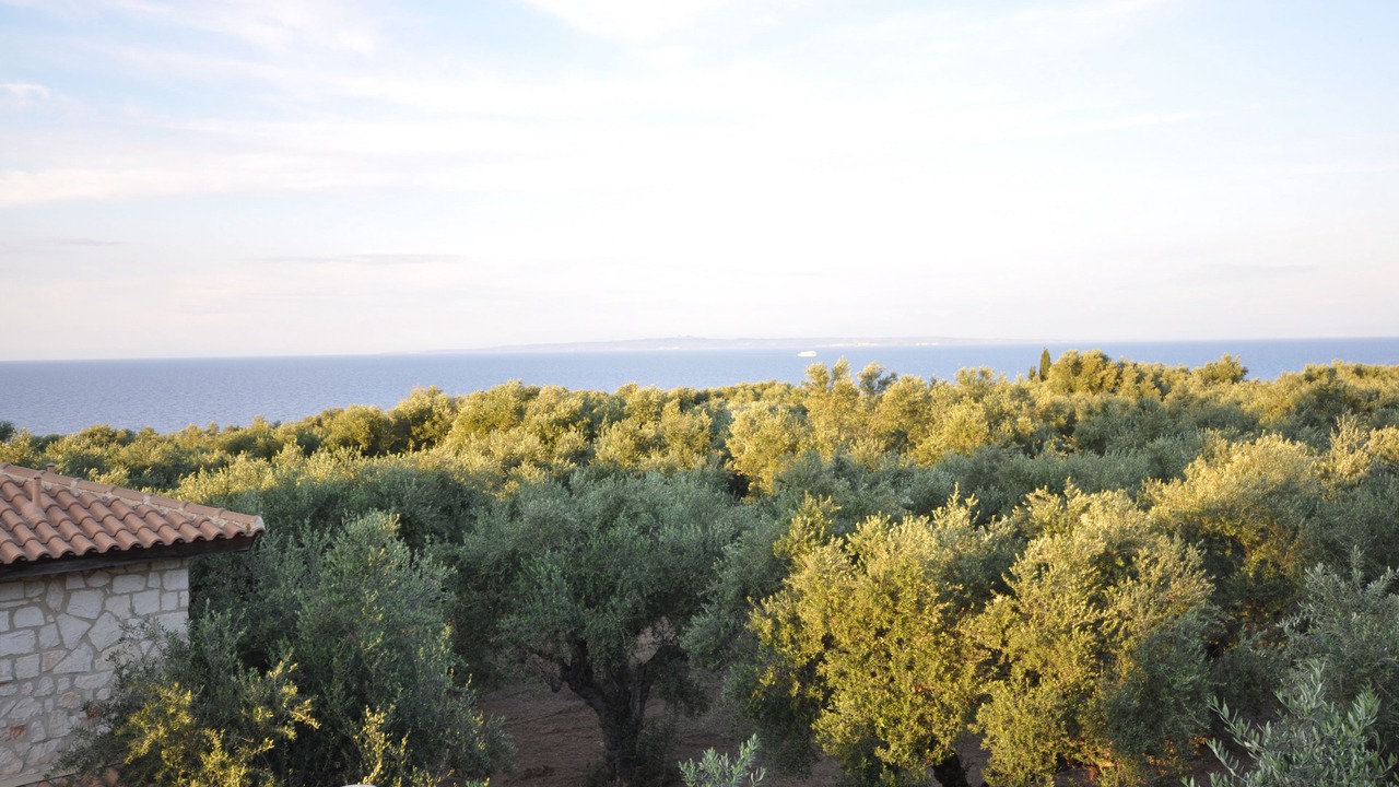 Photo of Bedroom in Akrotiri