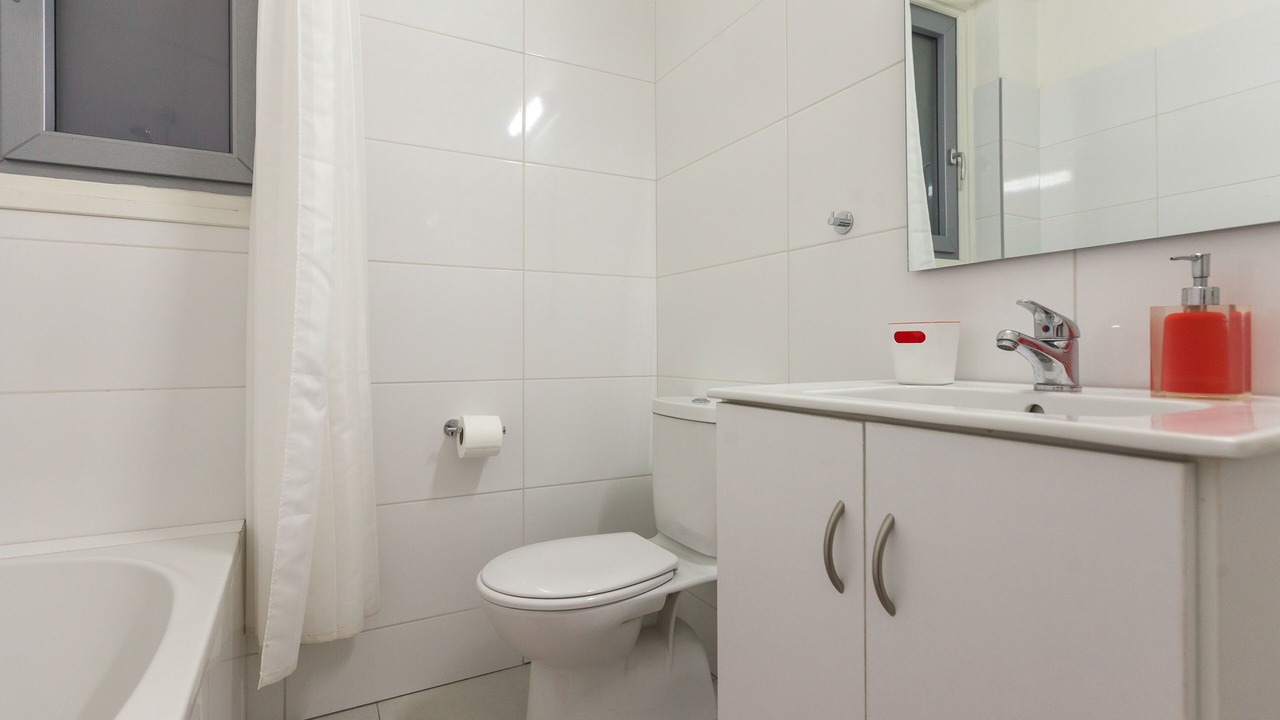 Photo of Bathroom in Dasoupolis