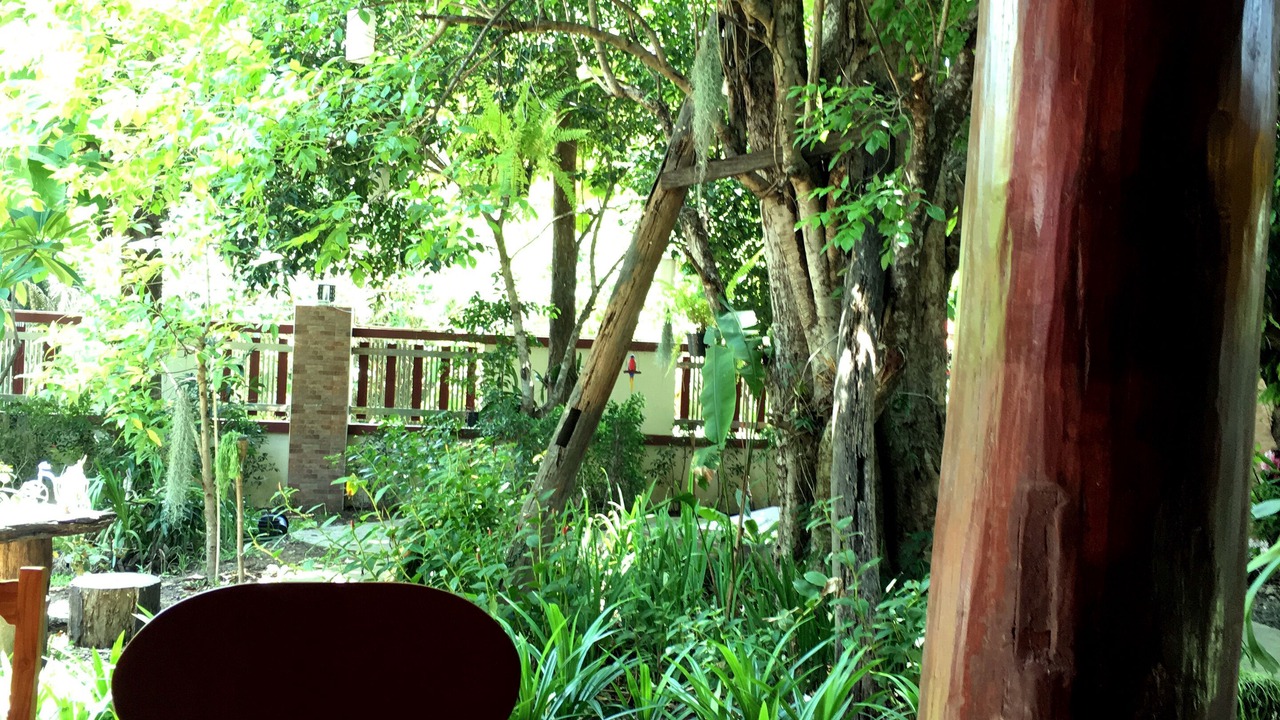 Photo of Outdoor in Chiang Mai