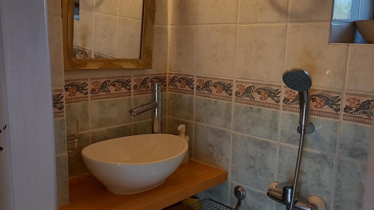 Photo of Bathroom in Alika