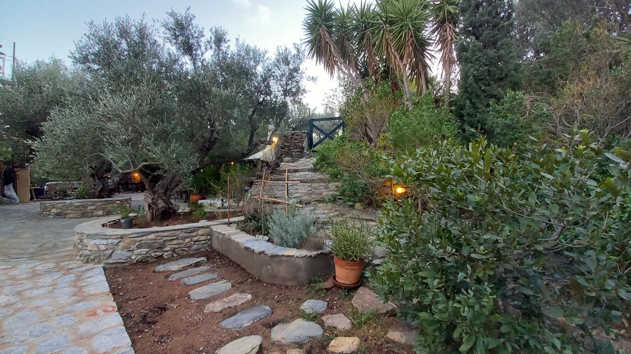 Photo of Outdoor in Alika