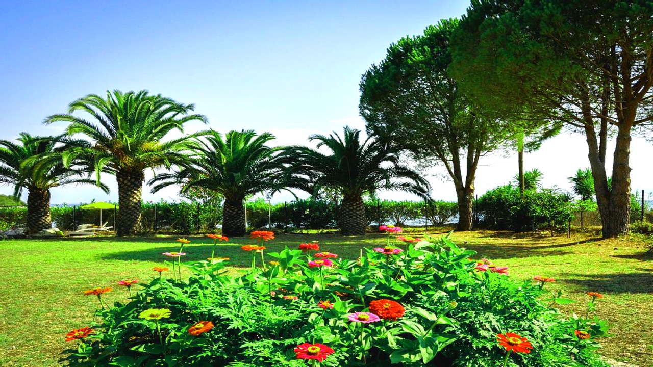 Photo of Outdoor in Monastiraki
