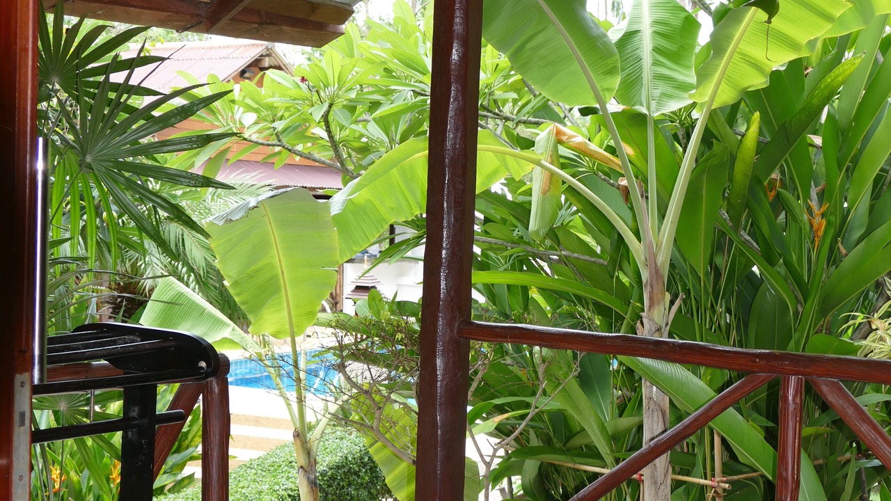 Photo of Outdoor in Lamai