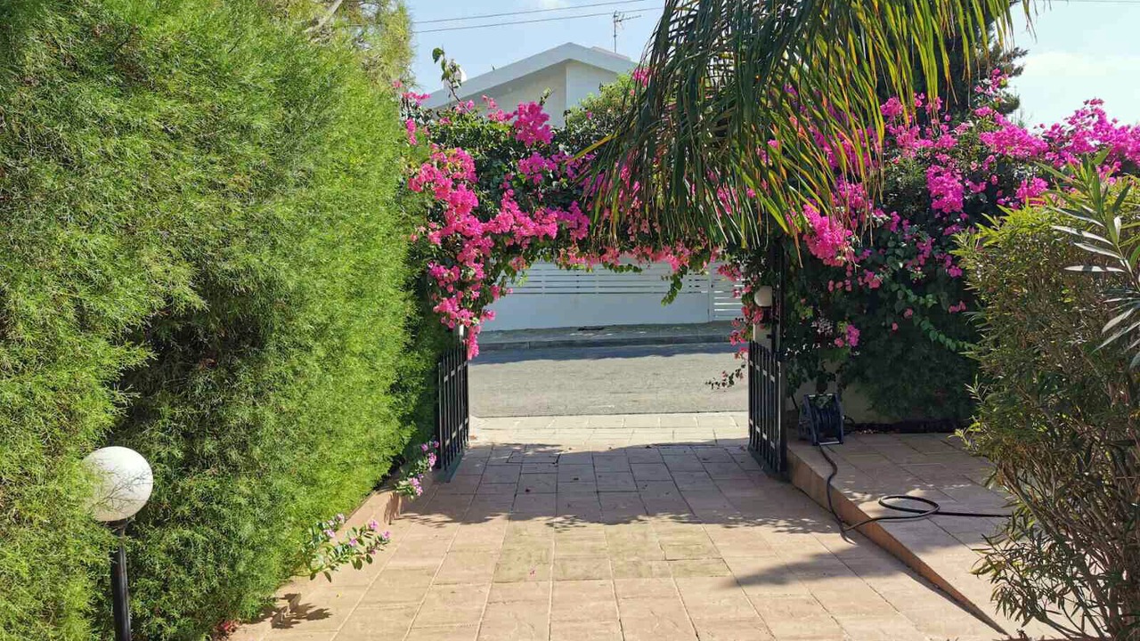 Photo of Outdoor in Protaras