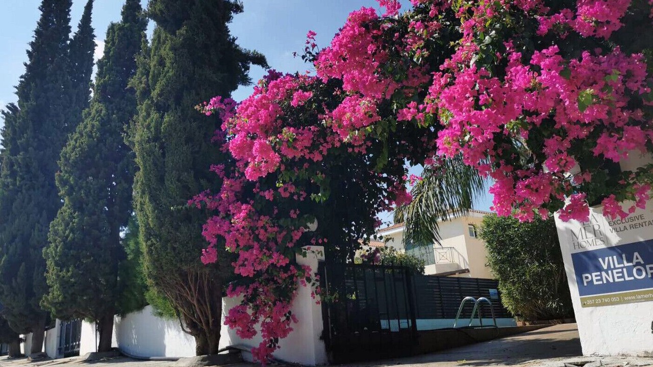 Photo of Outdoor in Protaras