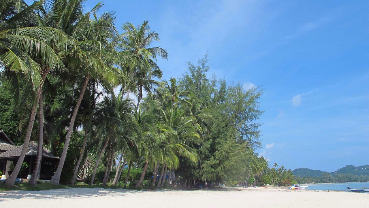 Photo of Others in Thong Krut