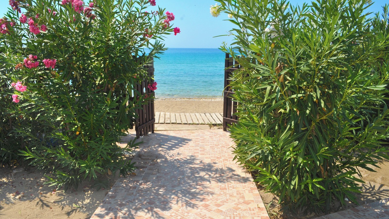 Photo of Others in Agios Gordios