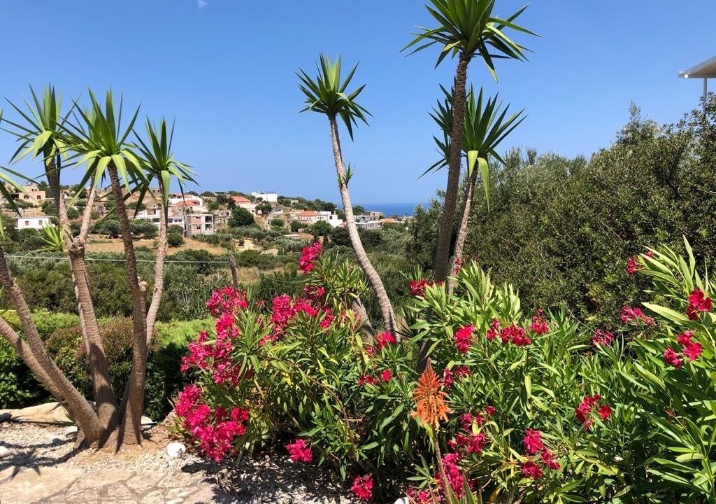 Photo of Outdoor in Kolymbari