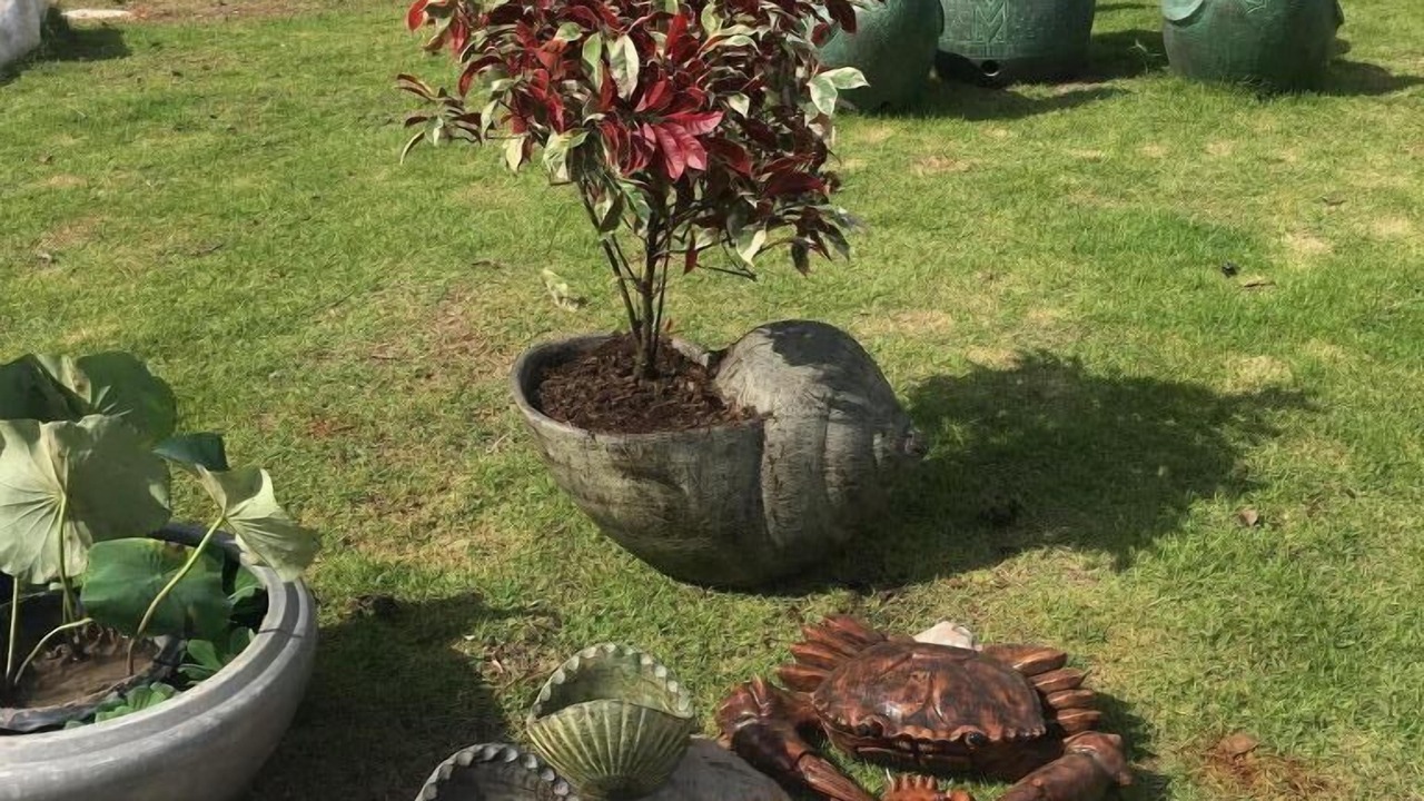 Photo of Outdoor in Mu Si