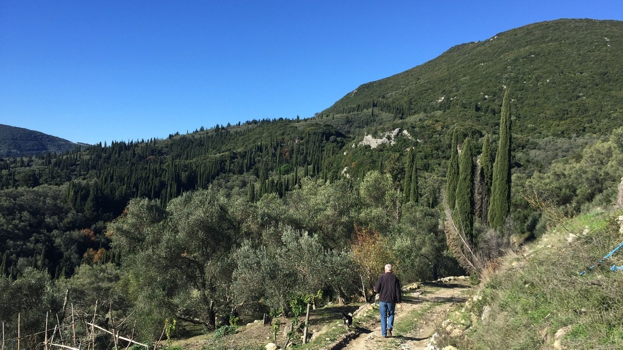 Photo of Outdoor in Makrata