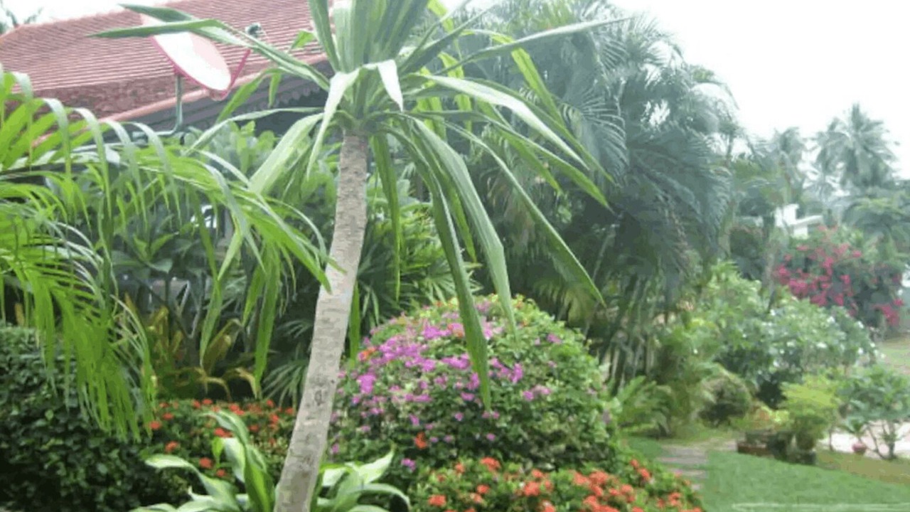 Photo of Outdoor in Ang Thong