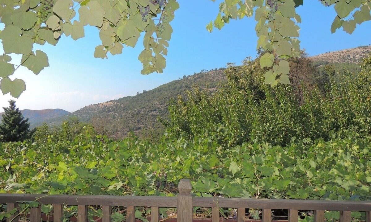 Photo of Outdoor in Megalos Prinos