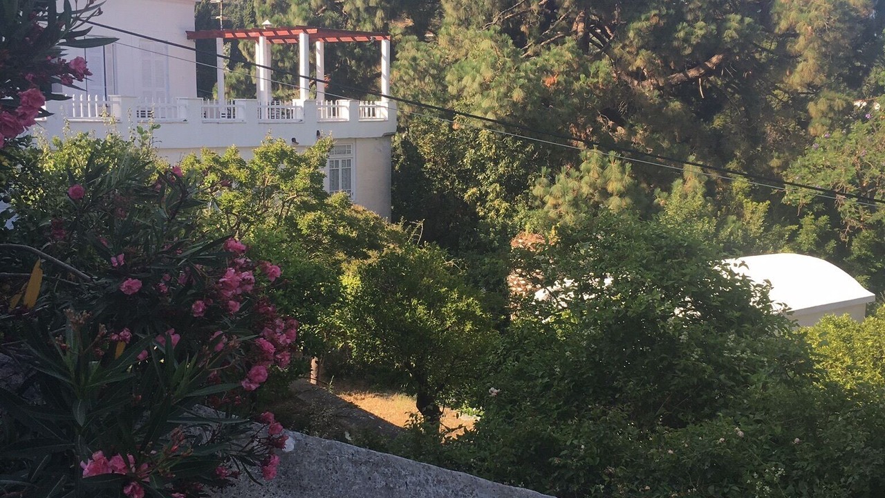 Photo of Outdoor in Andros Town