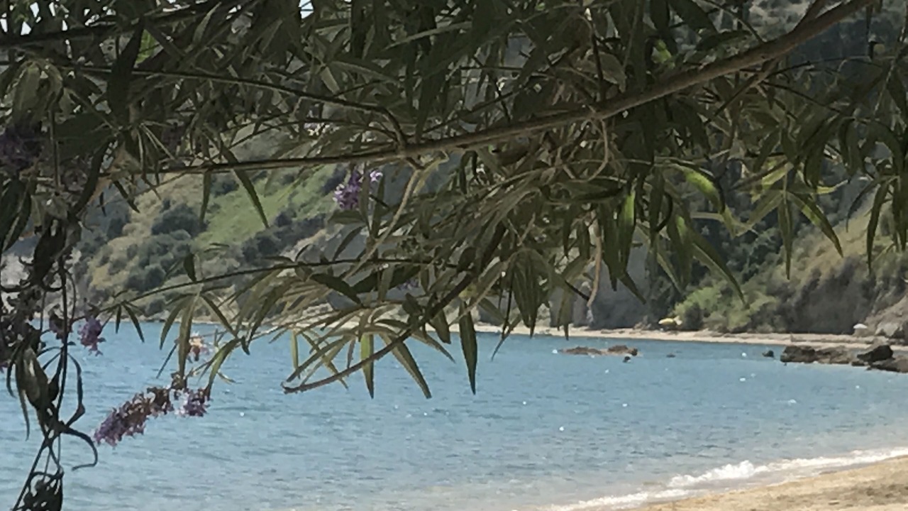 Photo of Others in Pylos-Nestoras