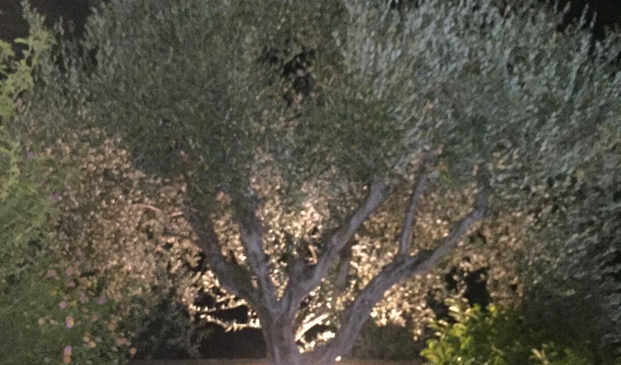 Photo of Outdoor in Pylos-Nestoras