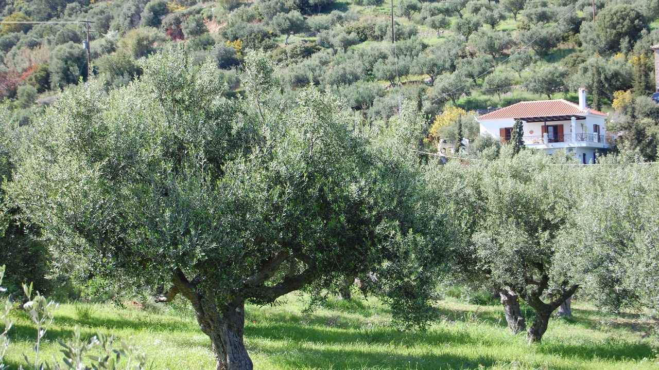Photo of Outdoor in Pylos-Nestoras