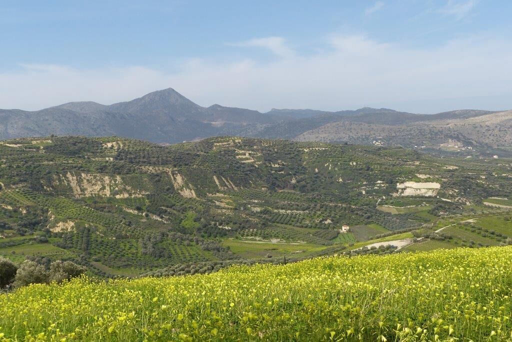 Photo of Outdoor in Skalani