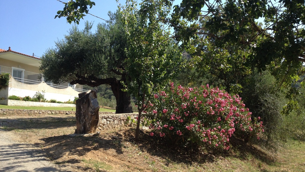 Photo of Outdoor in Karvelas