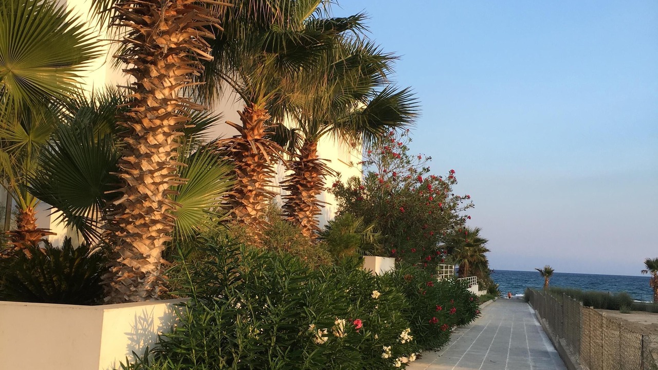 Photo of Others in Pyla