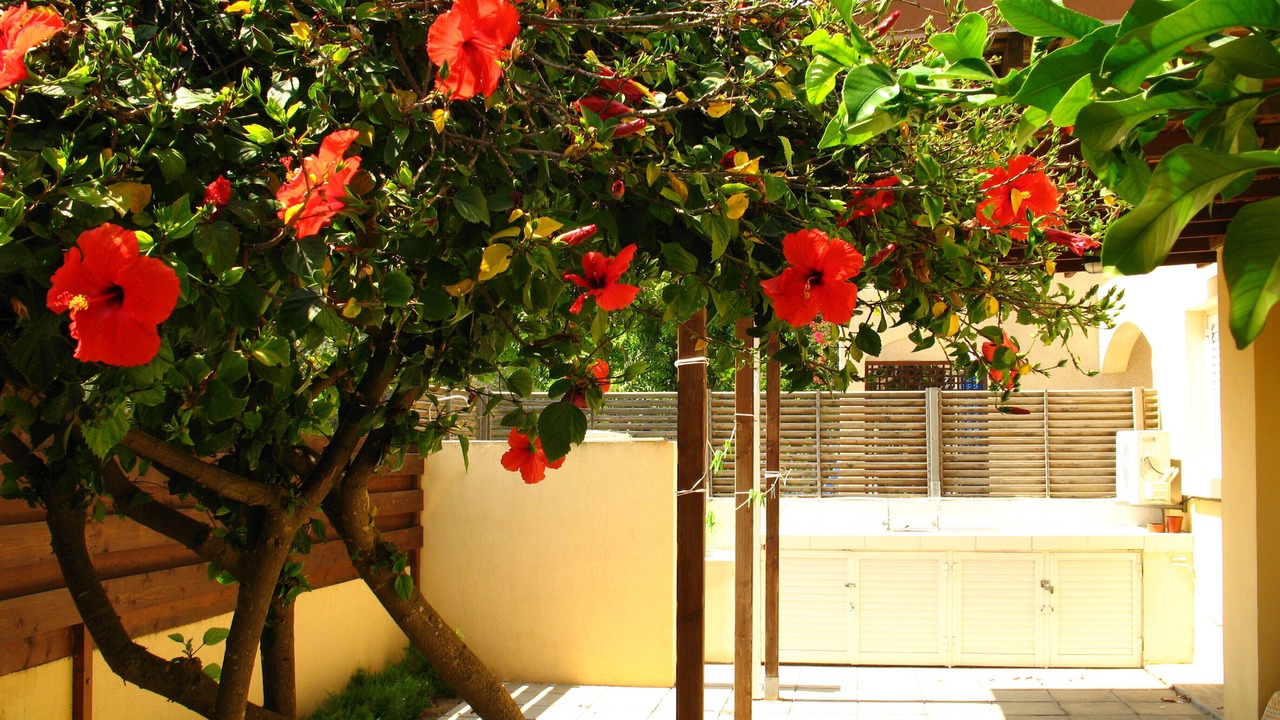 Photo of Outdoor in Pyla