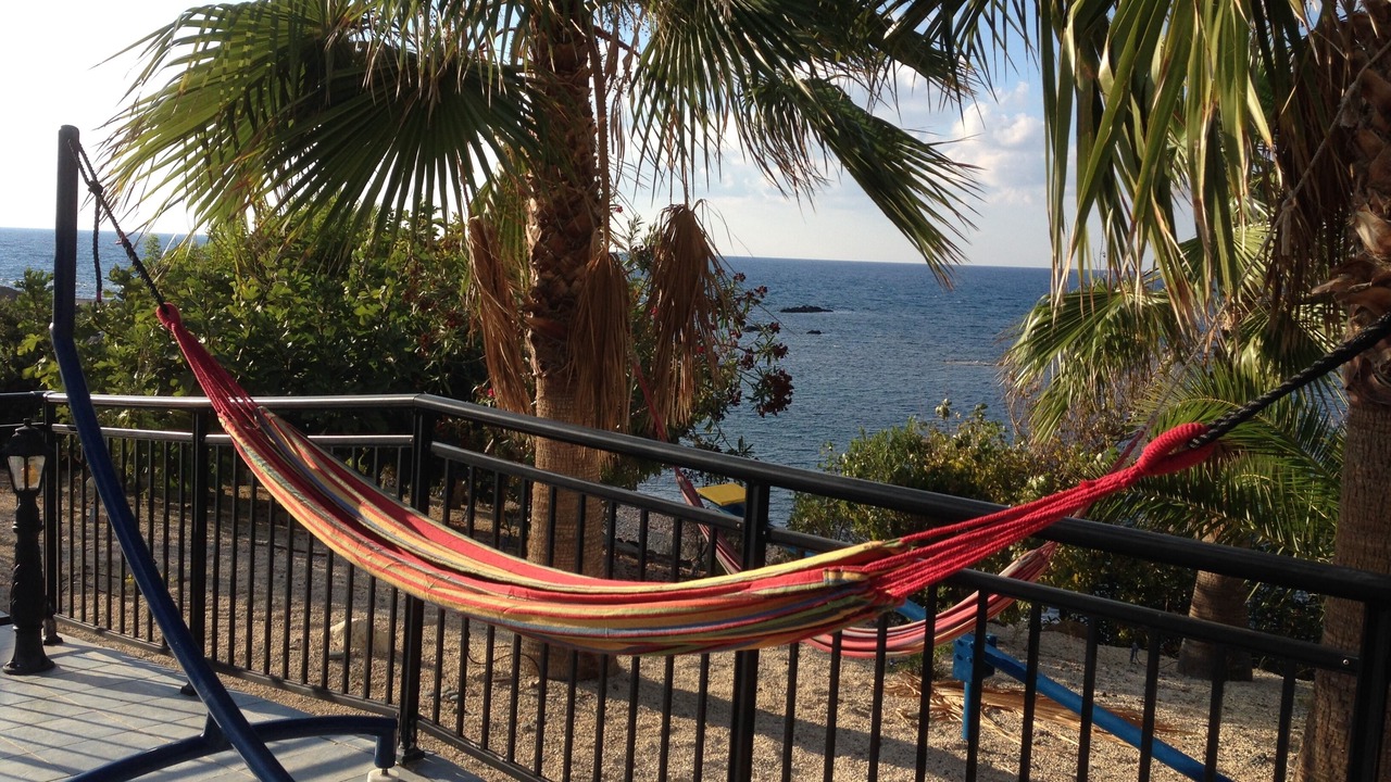 Photo of Others in Pomos