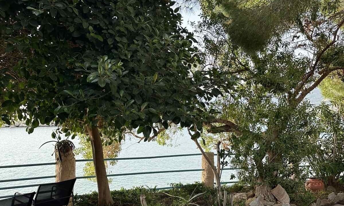 Photo of Outdoor in Diasella