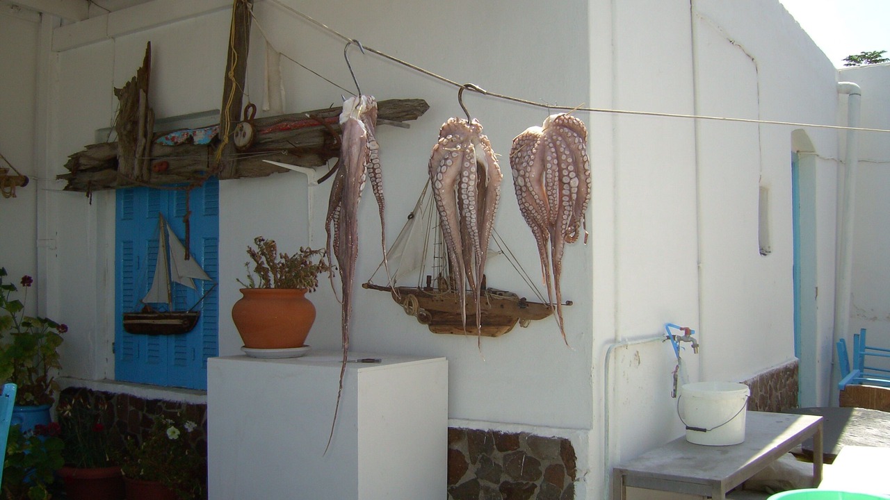 Photo of Outdoor in Adamas