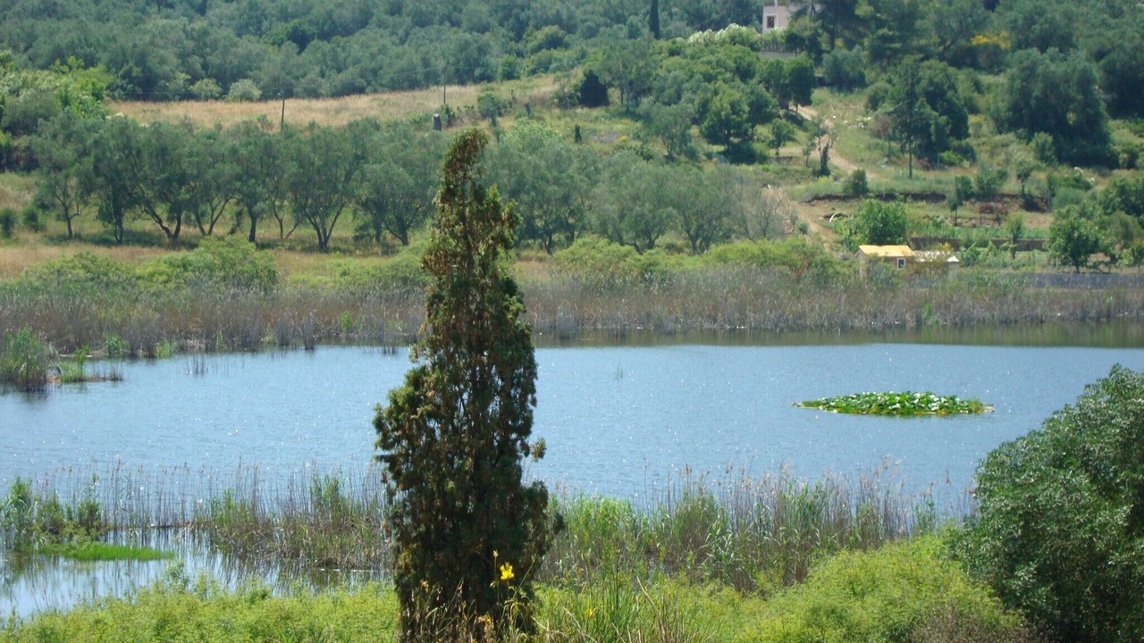 Photo of Others in Agios Ioannis