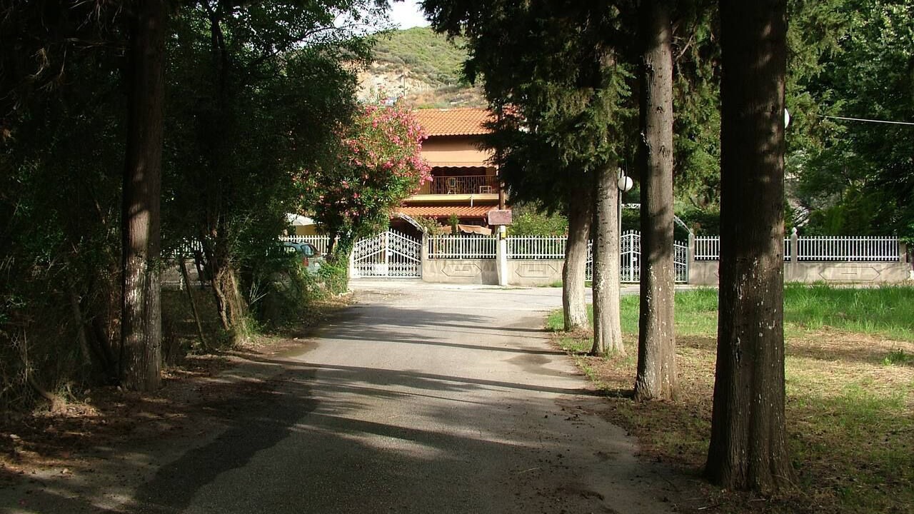 Photo of Others in Volvi