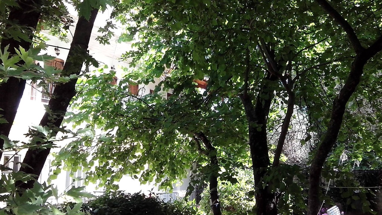 Photo of Outdoor in Kato Rodini