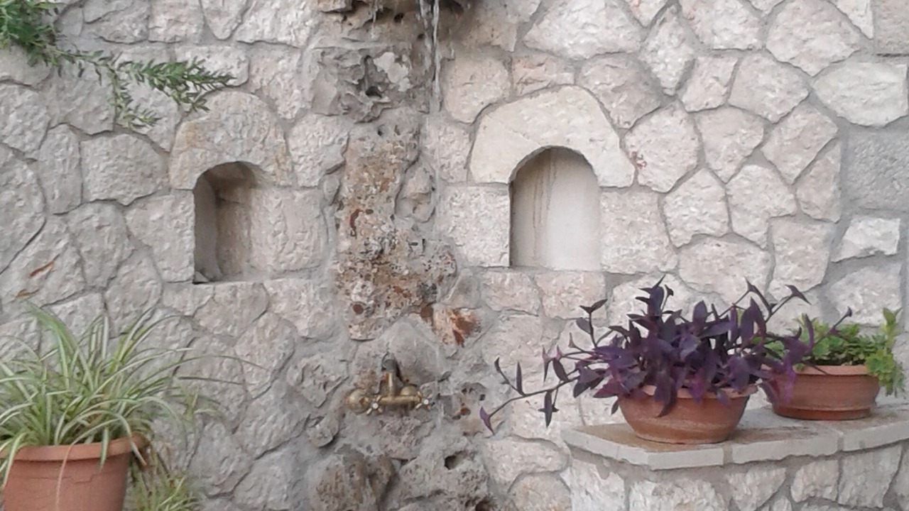 Photo of Others in Geni