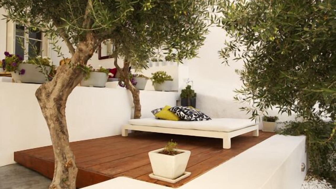 Photo of Outdoor in Adamas