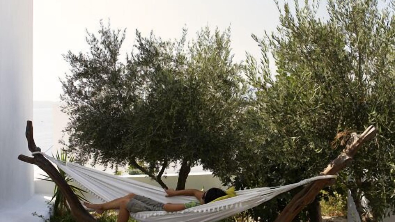 Photo of Outdoor in Adamas