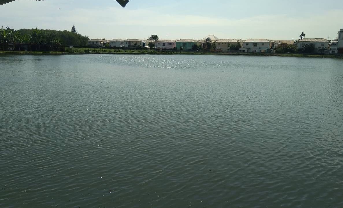 Photo of Outdoor in Thung Khru