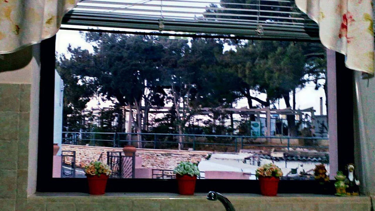 Photo of Others in Lithinai