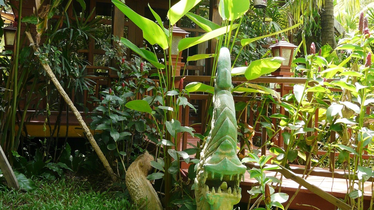 Photo of Others in Doi Saket
