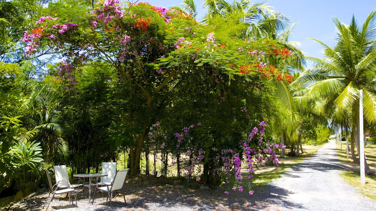 Photo of Outdoor in Ko Pha-ngan