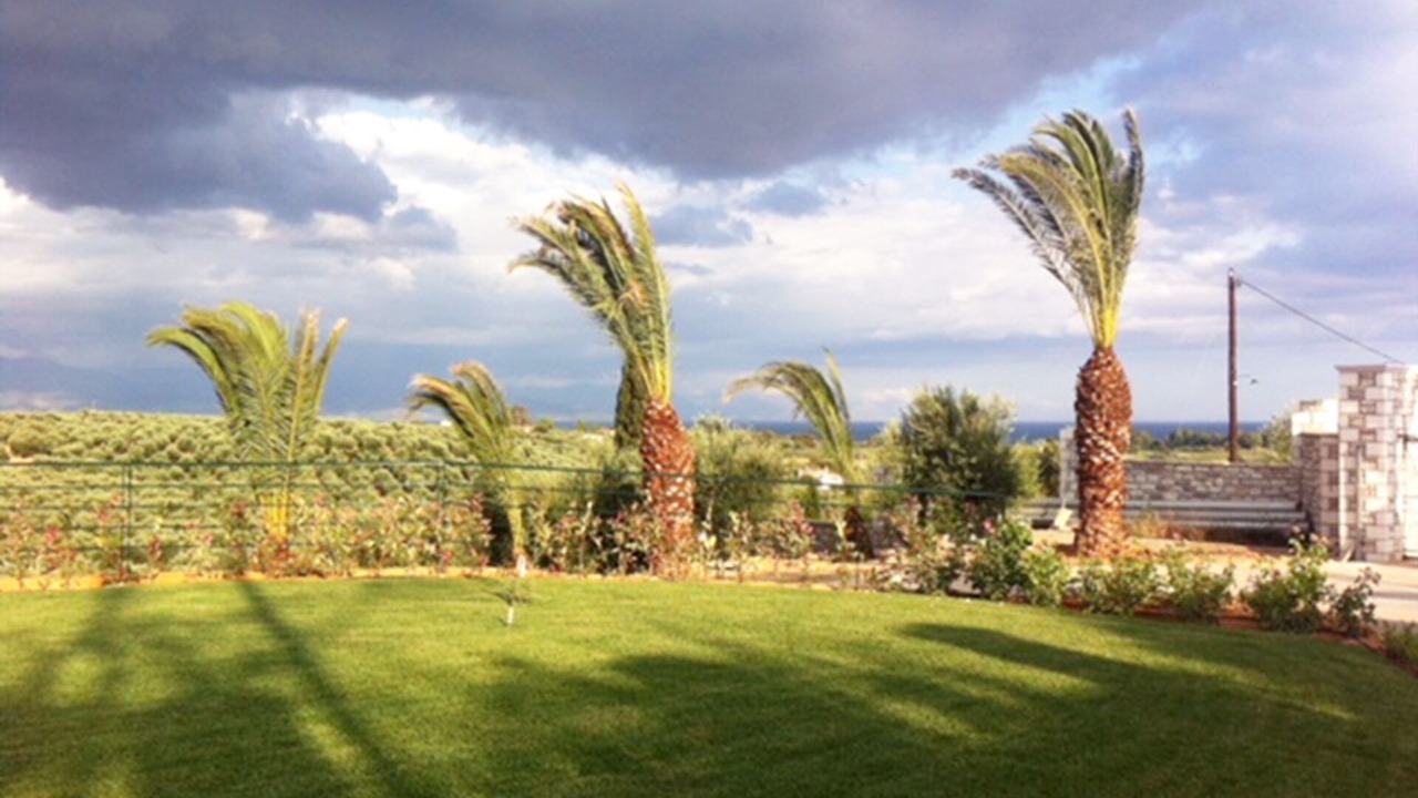 Photo of Outdoor in Messini