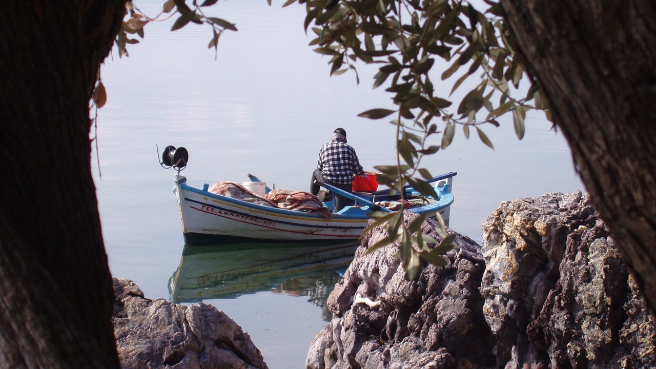 Photo of Others in Alyfanta