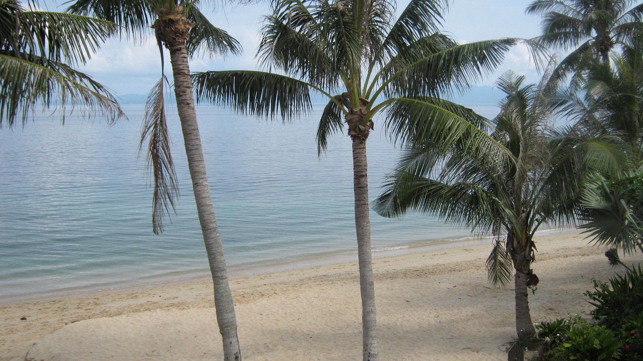 Photo of Others in Bang Po