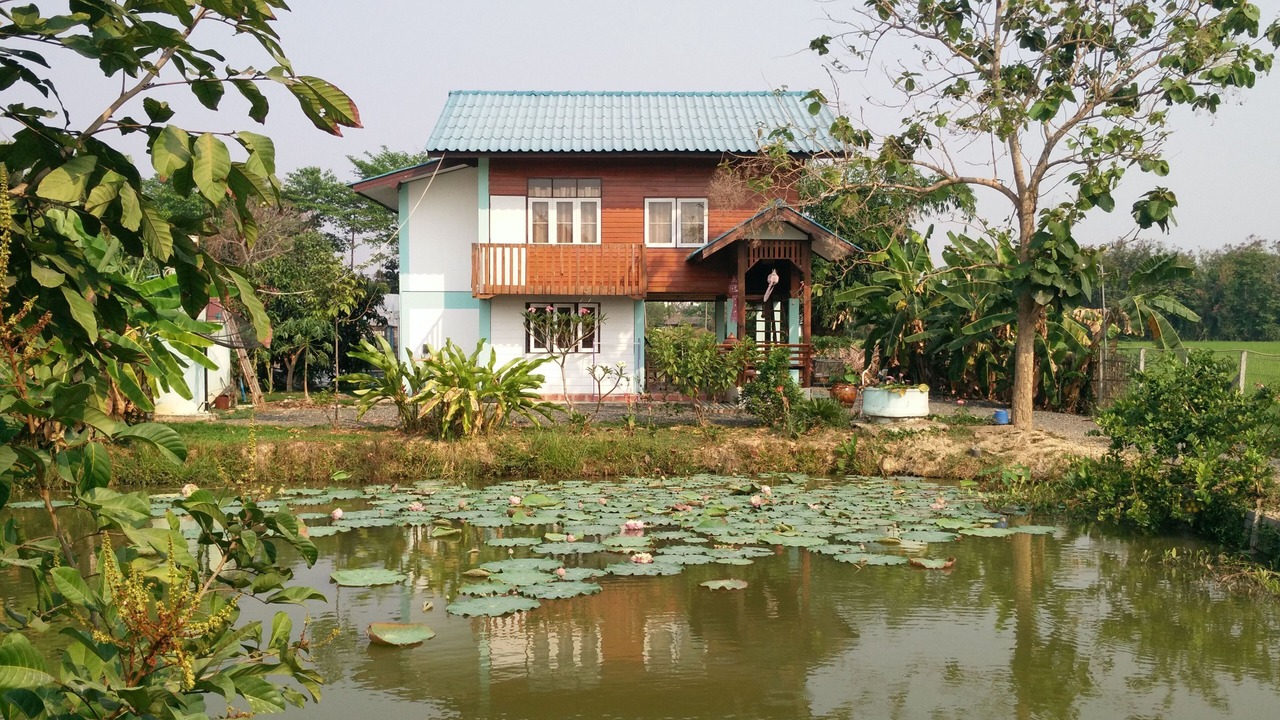 Photo of Others in Nong Yaeng