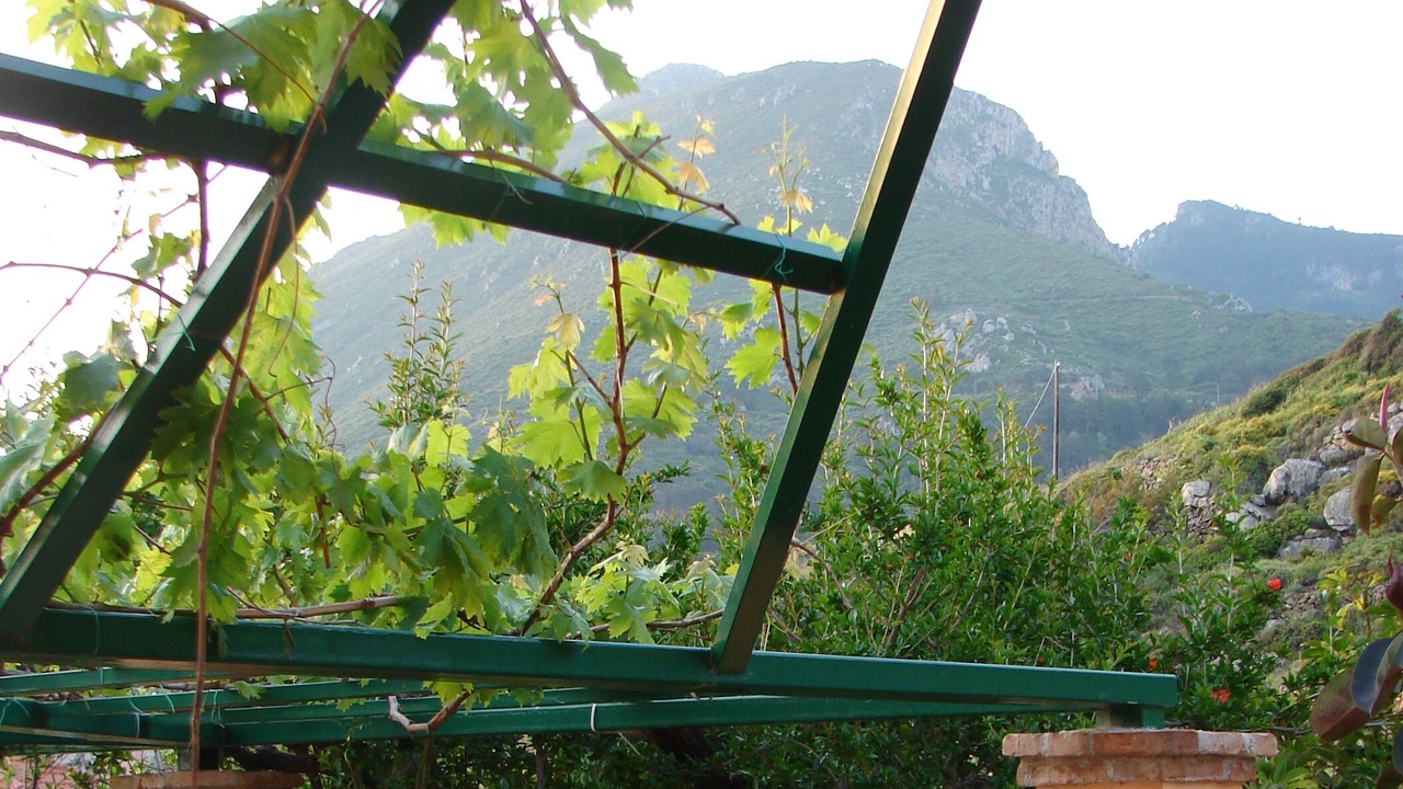 Photo of Outdoor in Karlovassi