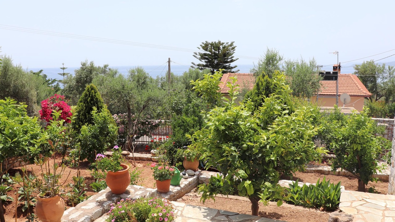 Photo of Outdoor in Aloizianika