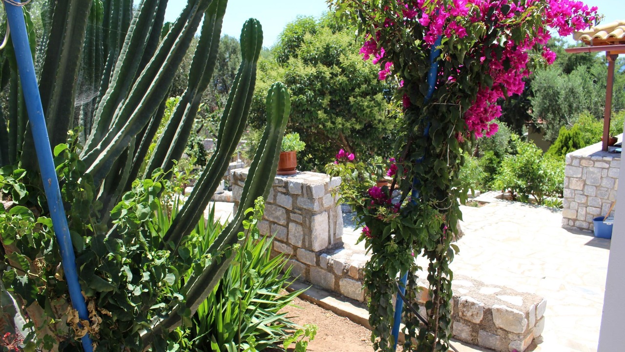 Photo of Outdoor in Aloizianika